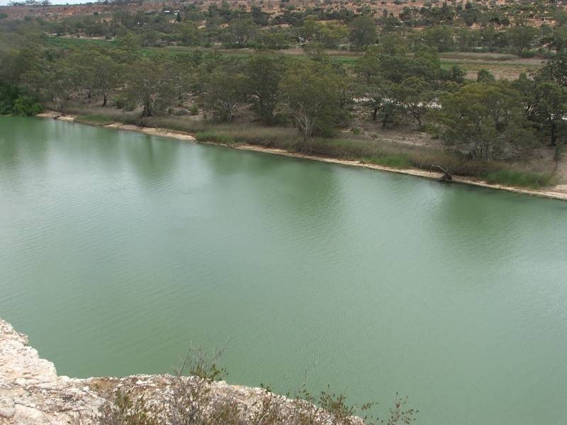 Lot 25,  Nildottie Rd, Greenways Landing, Nildottie SA 5238