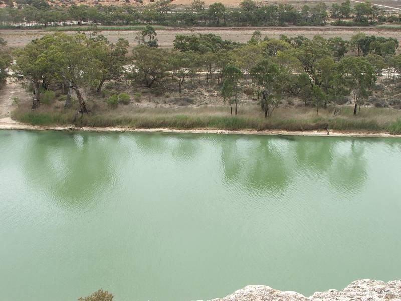 Lot 25,  Nildottie Rd, Greenways Landing, Nildottie SA 5238