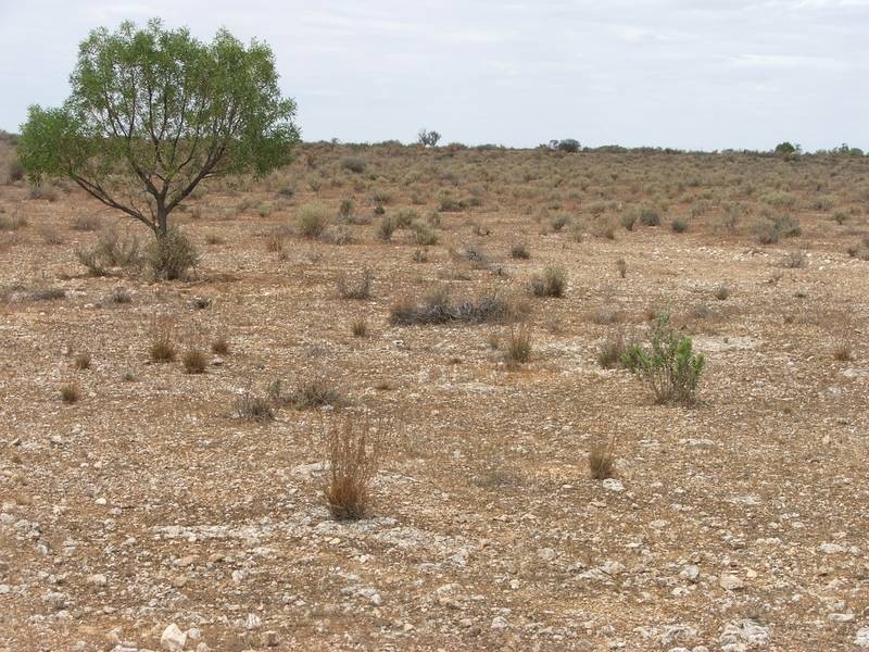 Lot 25,  Nildottie Rd, Greenways Landing, Nildottie SA 5238