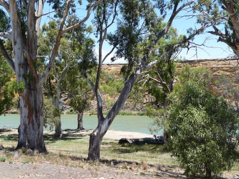 34 Marks Landing, Swan Reach SA 5354