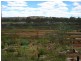 0 Purnong Road, Mannum SA 5238