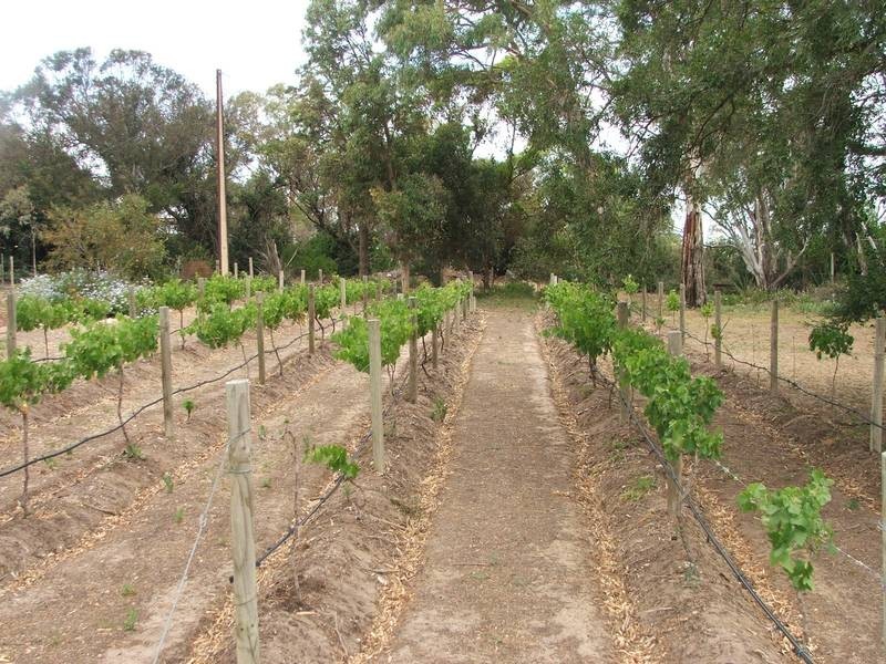 Sect 364& 367 Billabong Road, Pompoota SA 5238