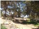 4 King George Street, Mannum SA 5238