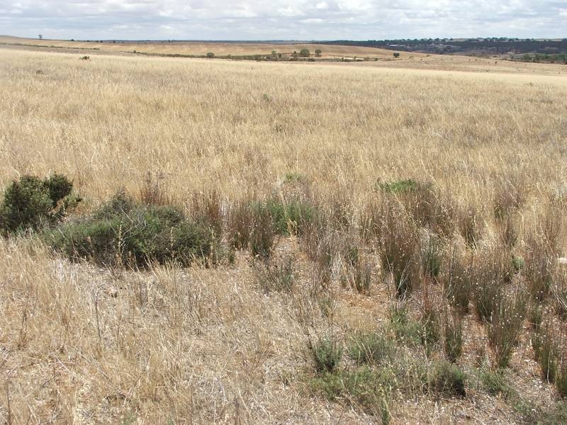 502 Underwood Hill Road, Mannum SA 5238