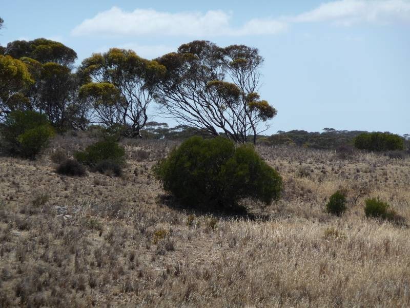 502 Underwood Hill Road, Mannum SA 5238