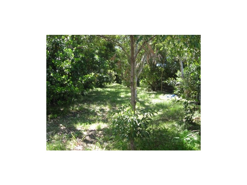 1/34 Paterson Street, Byron Bay NSW 2481