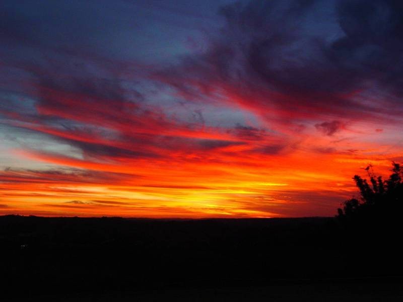 440 Bangalow Road, Talofa NSW 2481