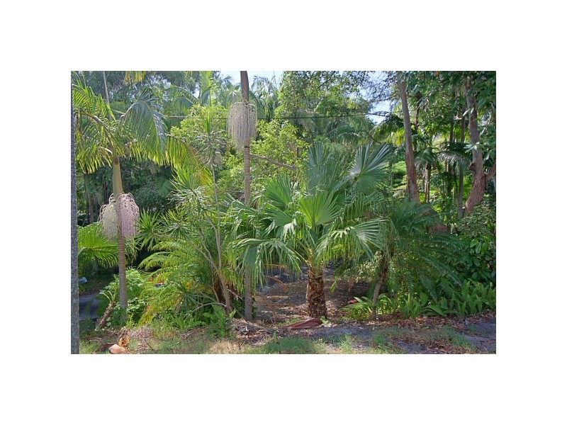 166a Lighthouse Rd, Byron Bay NSW 2481