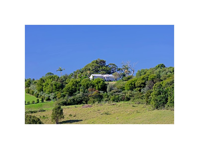 206 Coopers Shoot Road, Coopers Shoot NSW 2479