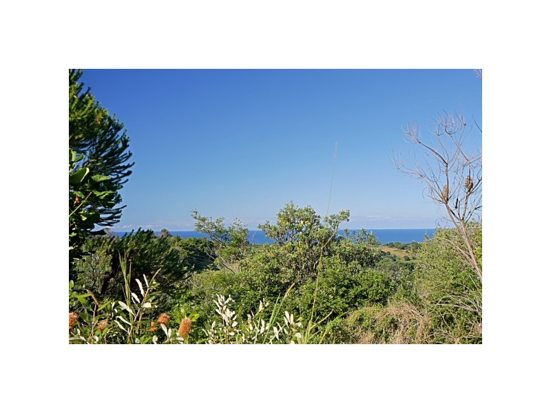 206 Coopers Shoot Road, Coopers Shoot NSW 2479