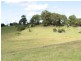 Tuckeroo Avenue, Mullumbimby NSW 2482