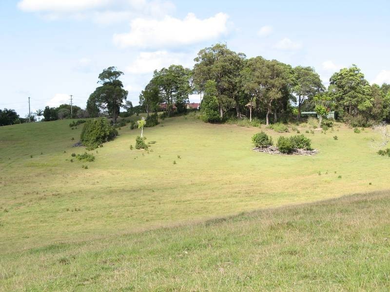 Tuckeroo Avenue, Mullumbimby NSW 2482