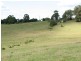 Tuckeroo Avenue, Mullumbimby NSW 2482