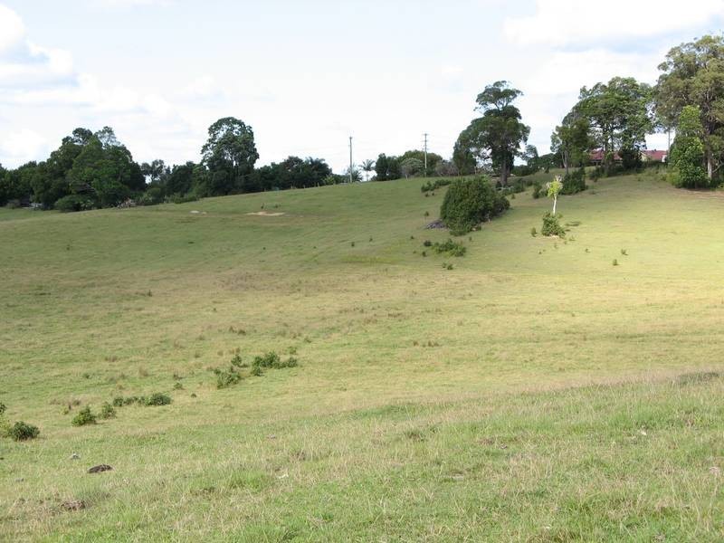 Tuckeroo Avenue, Mullumbimby NSW 2482