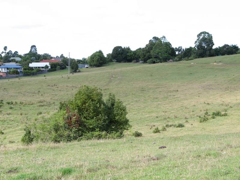 Tuckeroo Avenue, Mullumbimby NSW 2482