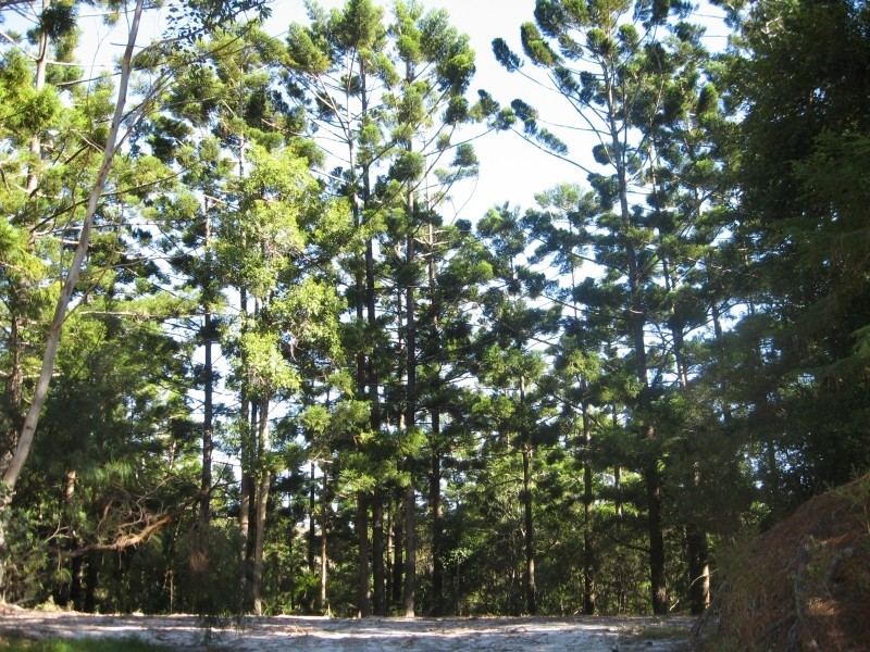 18 Skinners Shoot Road, Byron Bay NSW 2481