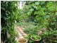 Lot 2,  McInnes Lane, Tyagarah NSW 2481