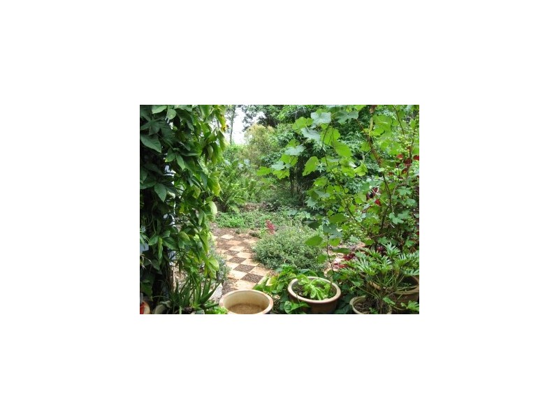 Lot 2,  McInnes Lane, Tyagarah NSW 2481