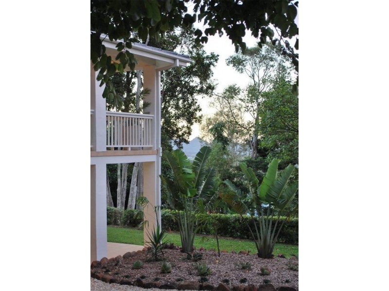 600 Coolamon Scenic Drive, Coorabell NSW 2479