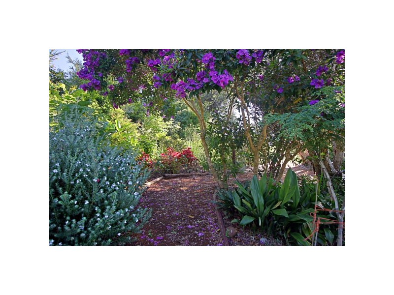 55 Bay Vista Lane, Ewingsdale NSW 2481