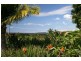 55 Bay Vista Lane, Ewingsdale NSW 2481