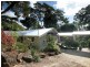 4 Newes Rd, Coorabell NSW 2479