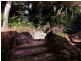 4 Newes Rd, Coorabell NSW 2479