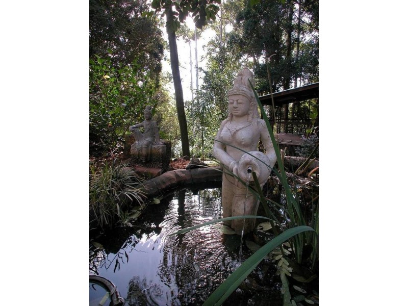 4 Newes Rd, Coorabell NSW 2479