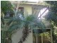 113 Beech Drive, Byron Bay NSW 2481