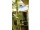 113 Beech Drive, Byron Bay NSW 2481