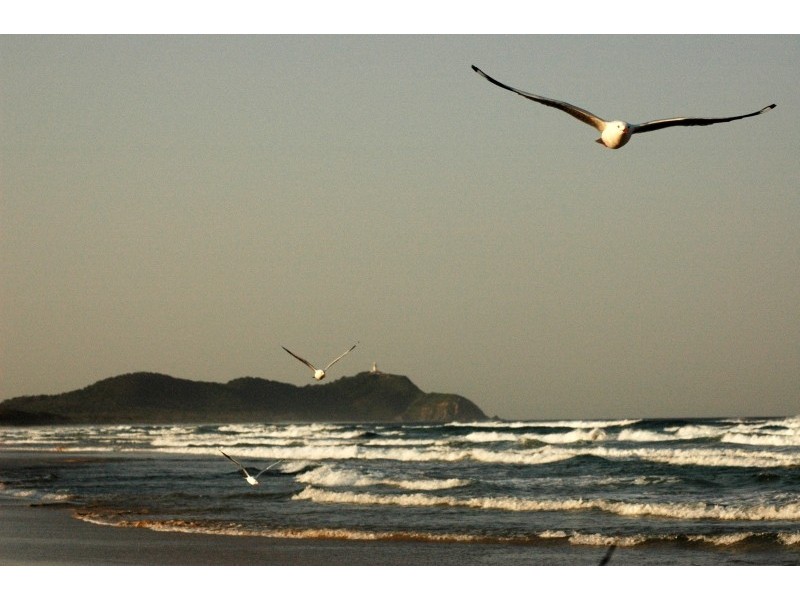 2/53 Brandon Street, Suffolk Park NSW 2481