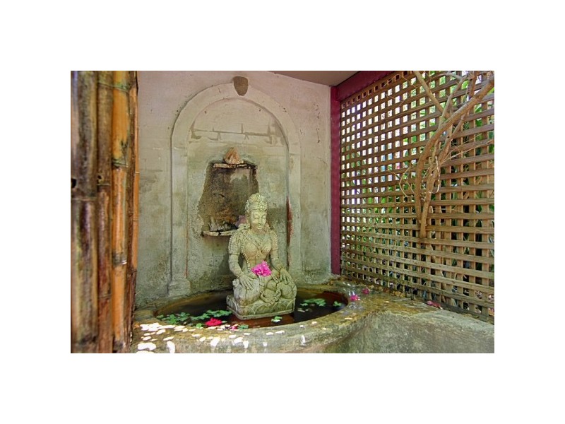 680 Left Bank Road, Mullumbimby NSW 2482