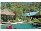 131 Parmenters Lane, Wilsons Creek NSW 2482