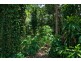 13 Mahogany Drive, Byron Bay NSW 2481