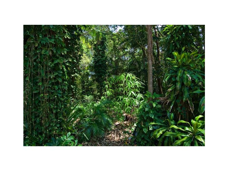 13 Mahogany Drive, Byron Bay NSW 2481