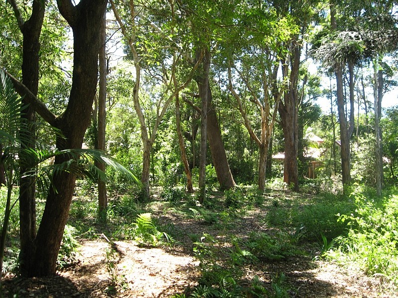Lot 491 Lilli Pilli Drive, Byron Bay NSW 2481