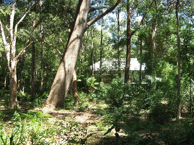 Lot 491 Lilli Pilli Drive, Byron Bay NSW 2481
