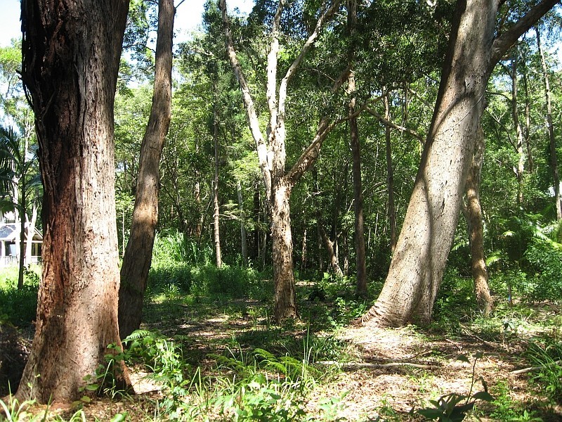 Lot 491 Lilli Pilli Drive, Byron Bay NSW 2481