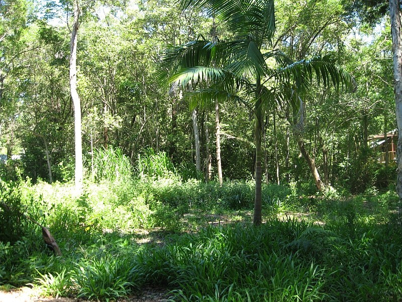 Lot 491 Lilli Pilli Drive, Byron Bay NSW 2481