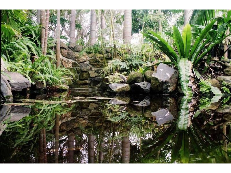 24 Cavanbah Street, Byron Bay NSW 2481