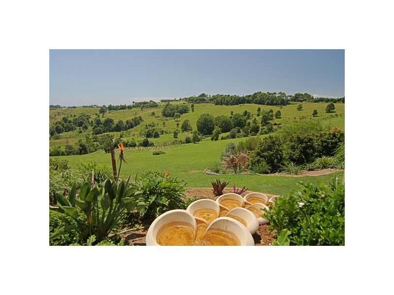 278 Coopers Shoot Road, Coopers Shoot NSW 2479