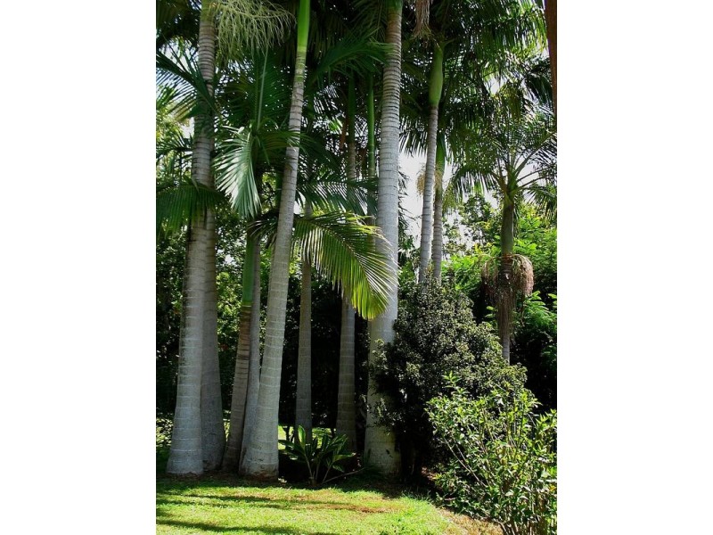 59 Bay Vista Lane, Ewingsdale NSW 2481