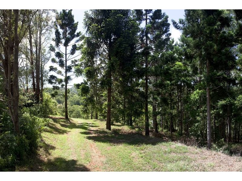Lot 11, 231 Fowlers Lane, Bangalow NSW 2479
