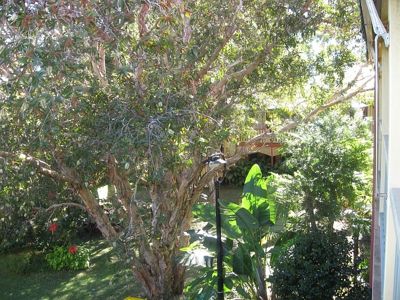 27/11-19 Cooper Street, Byron Bay NSW 2481