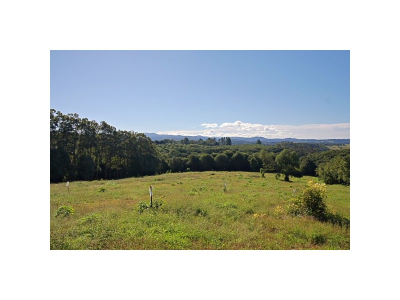 84 James Gibson Road, Clunes NSW 2480