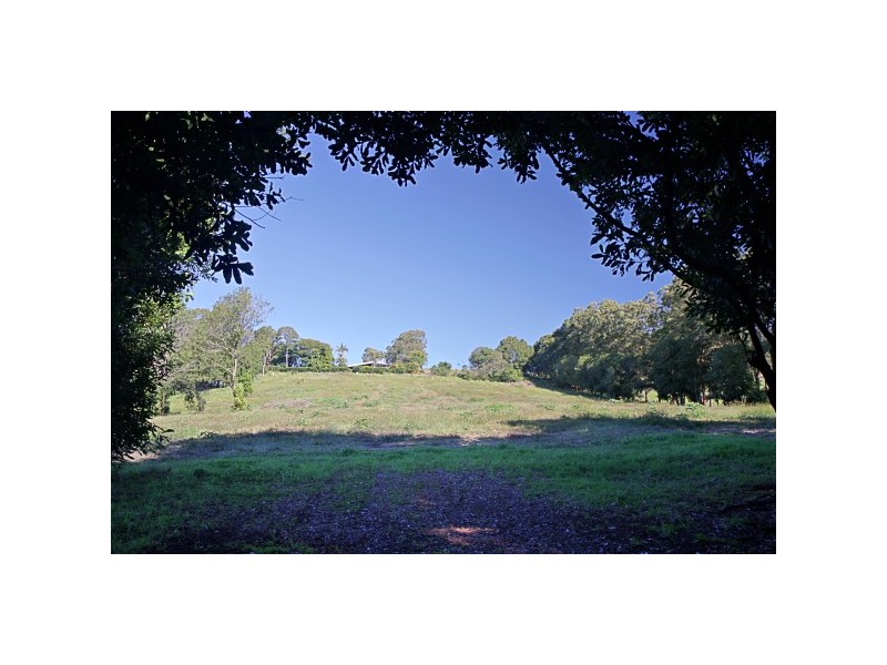 84 James Gibson Road, Clunes NSW 2480