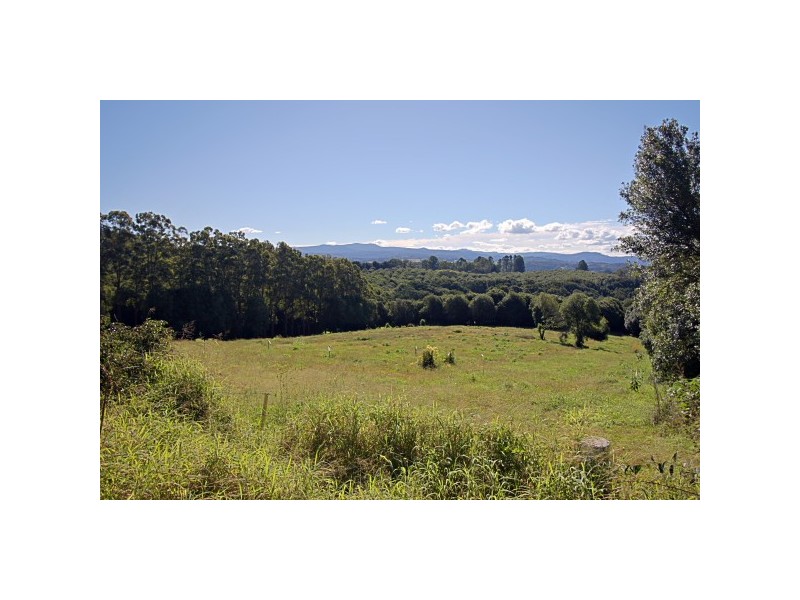 84 James Gibson Road, Clunes NSW 2480
