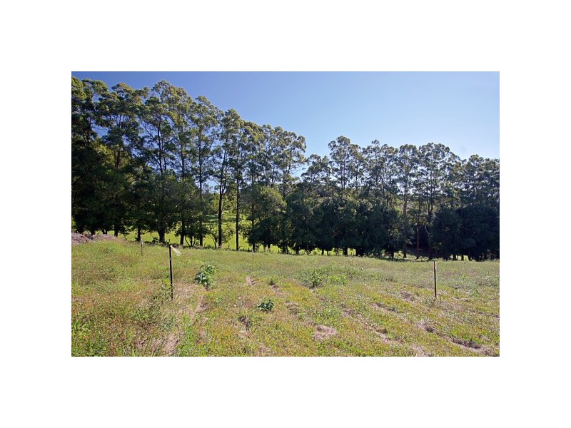 84 James Gibson Road, Clunes NSW 2480