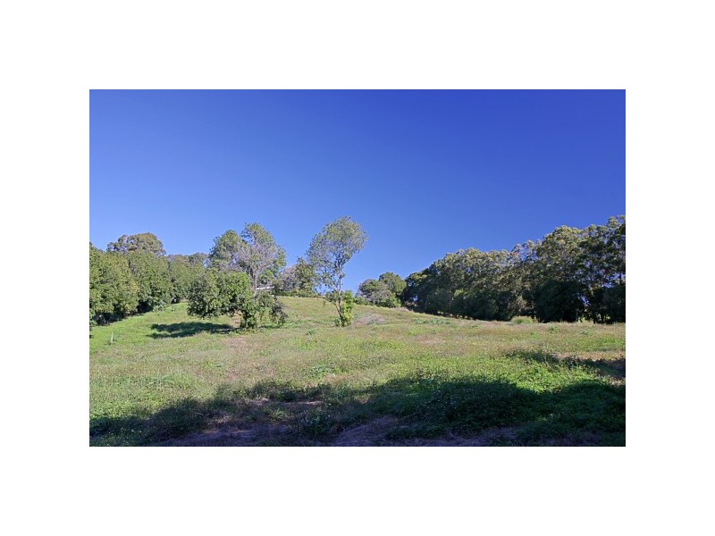 84 James Gibson Road, Clunes NSW 2480