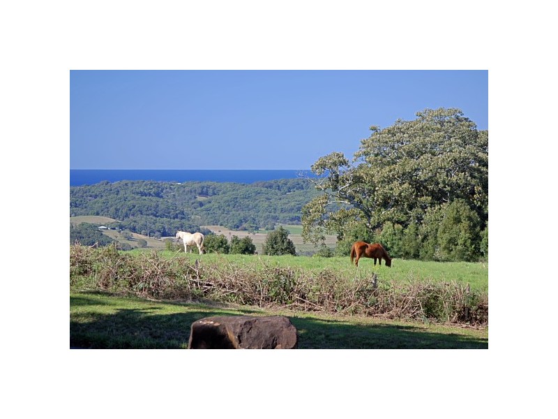 332 Picadilly Hill Road, Coopers Shoot NSW 2479